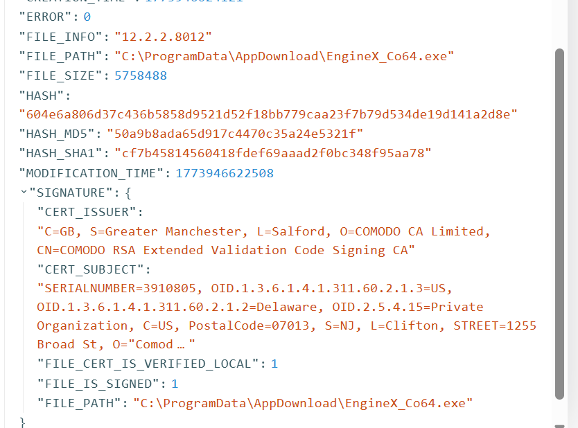 CODE_IDENTITY JSON for EngineX_Co64.exe showing Comodo signature and temp GUID path